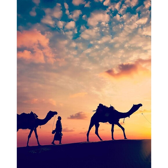 Dream Walls Collage Kit Wanderlust 50 Pieces Art Travel Posters Book Photos - Picture 6 of 7